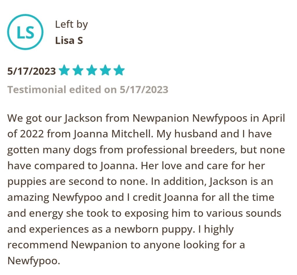 Left by Lisa S, 5/17/2023 Five Star. We got our Jackson from Newpanion Newfypoos in April of 2022 from Joanna Mitchell. My husband and I have gotten many dogs from professional breeders, but none have compared to Joanna. Her love and care for her puppies is second to none. In addition, Jackson is an amazing Newfypoo and I credit Joanna for all the time and energy she took to exposing him to various sounds and experiences as a newborn puppy. I highly recommend Newpanion to anyone looking for a Newfypoo.