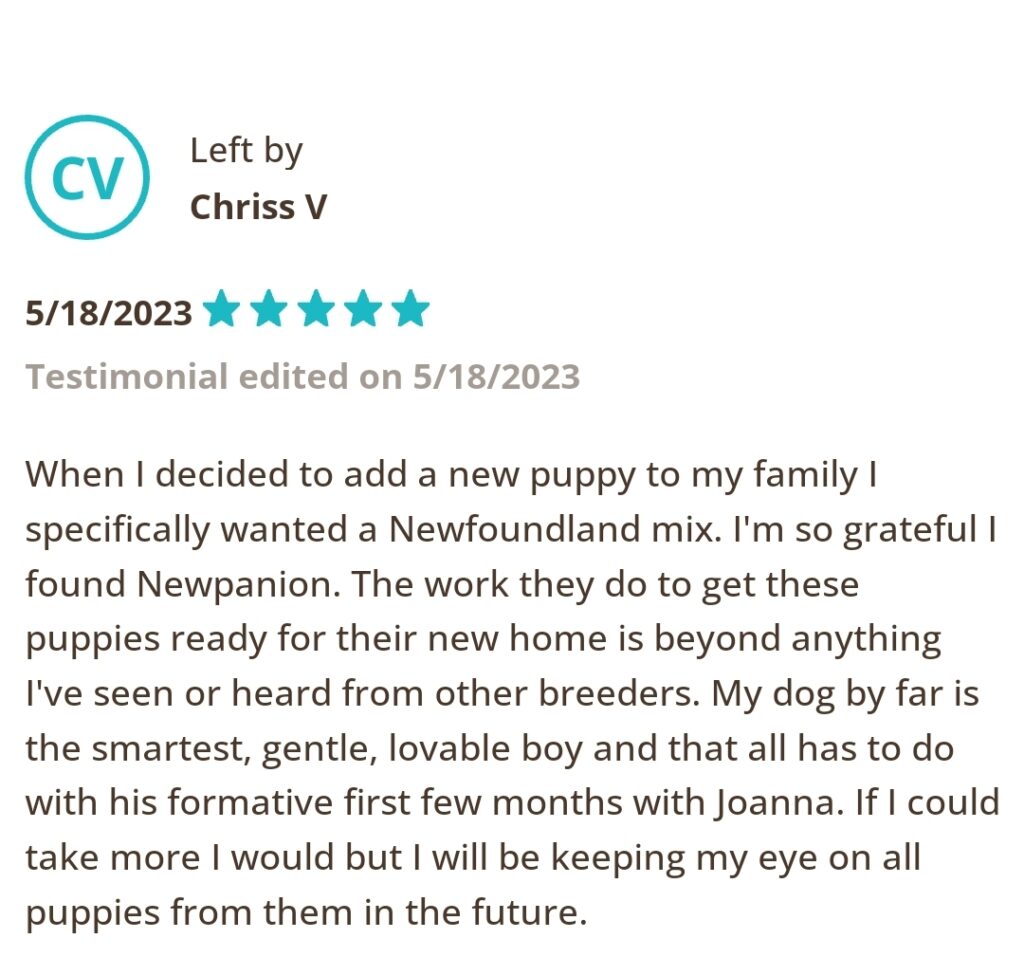 Left by Chriss V, 5/18/2023 Five Star. When I decided to add a new puppy to my family I specifically wanted a Newfoundland Mix. I'm so grateful I found Newpanion. The work they do to get these puppies ready for their new home is beyond anything I've seen or heard from other breeders. My do by far is the smartest, gentile, lovable boy and that all has to do with his formative first few months with Joanna. If I could take more I would but I will be keeping my eye on all puppies from them in the future.